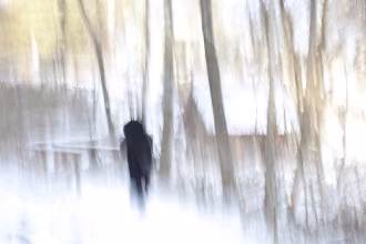 Digitale Fotografie, verfremdet, dunkle Schattenfigur in einem lichten Wald, Schacky Park Diessen, Ammersee