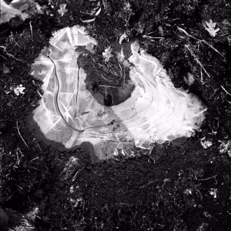 Analoge Fotografie SchwarzWeiß mit Hasselblad, Silber-Gelatine-Vergrößerung, gefrorenes Pfützeneis auf dunklem Waldboden