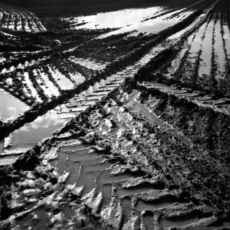 Analoge Fotografie SchwarzWeiß mit Hasselblad, Silber-Gelatine-Vergrößerung, Ackerfurchen mit Wasserlachen im Mecklenburger Land