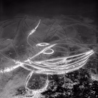 Analoge Fotografie SchwarzWeiß mit Hasselblad, Silber-Gelatine-Vergrößerung, Winterlandschaft, Versunkenes Stahlseil im dunklen Wasser, Rügen, Prosnitzer Schanze