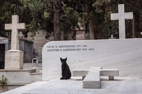 ATHEN, schwarze Katze auf einem Friedhof